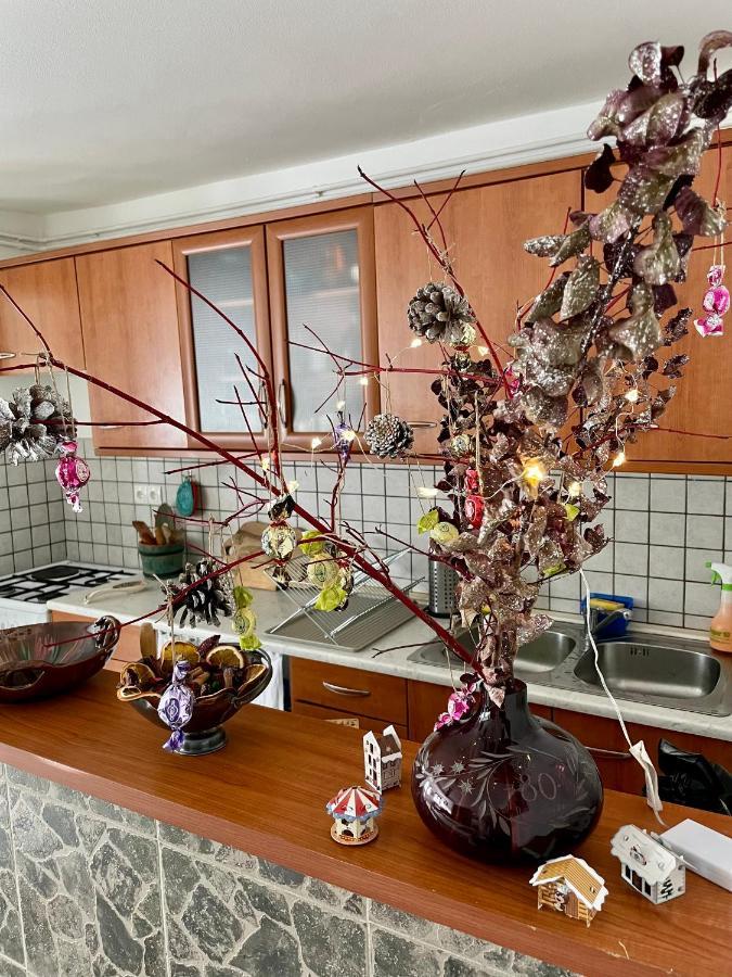 Appartement Apartma Pri Soci à Bovec Extérieur photo
